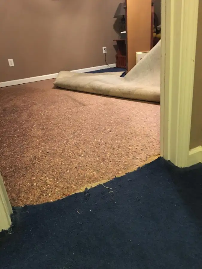 Carpet pad removal revealing water damage during Water Mitigation Services in Francisville