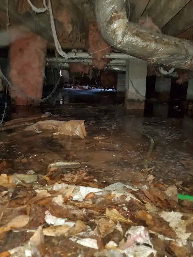 Crawl space flood assessment for Leak Detection & Repair in Francisville