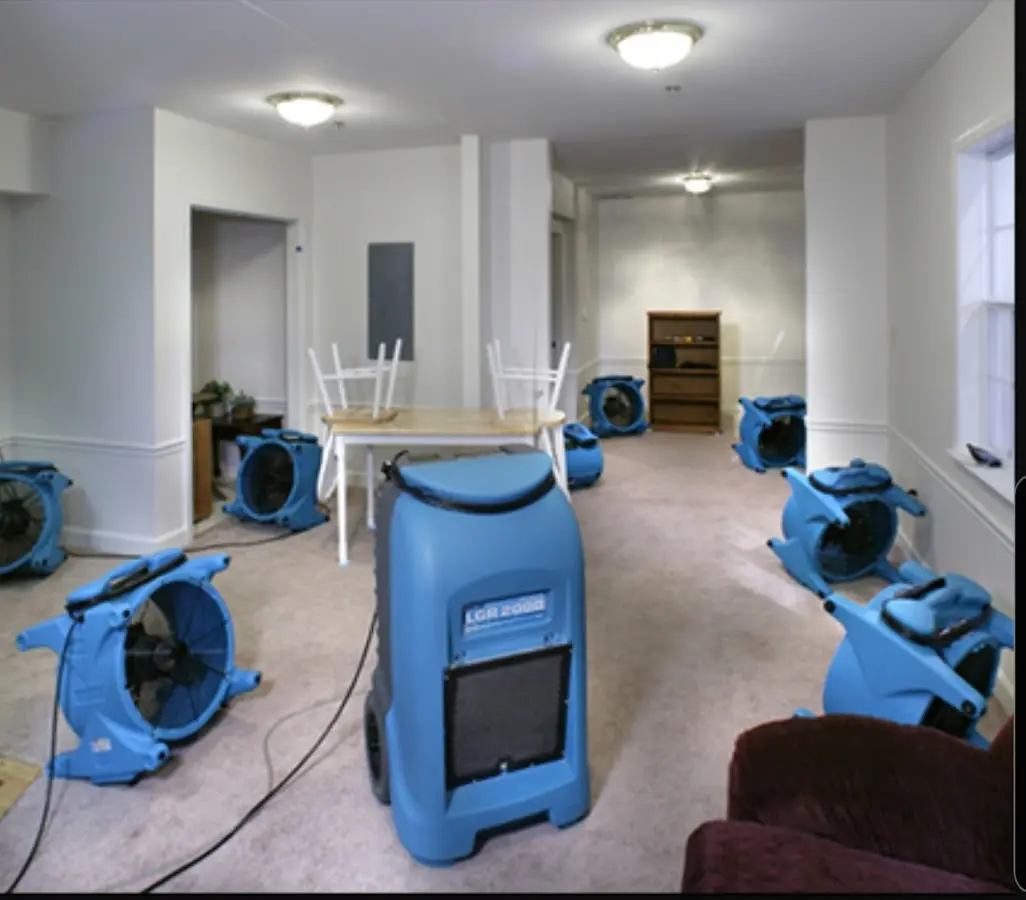 Air movers and dehumidifier setup for Water Extraction & Removal in Francisville