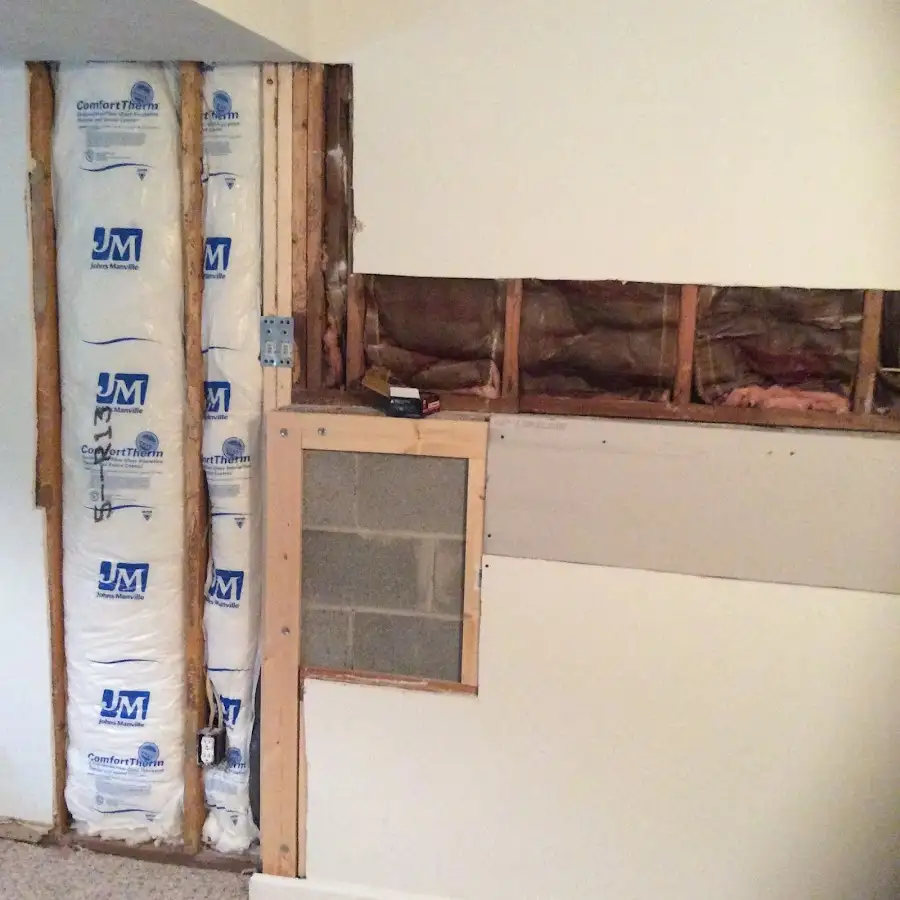 Wall insulation replacement during Odor Removal & Deodorization in Francisville